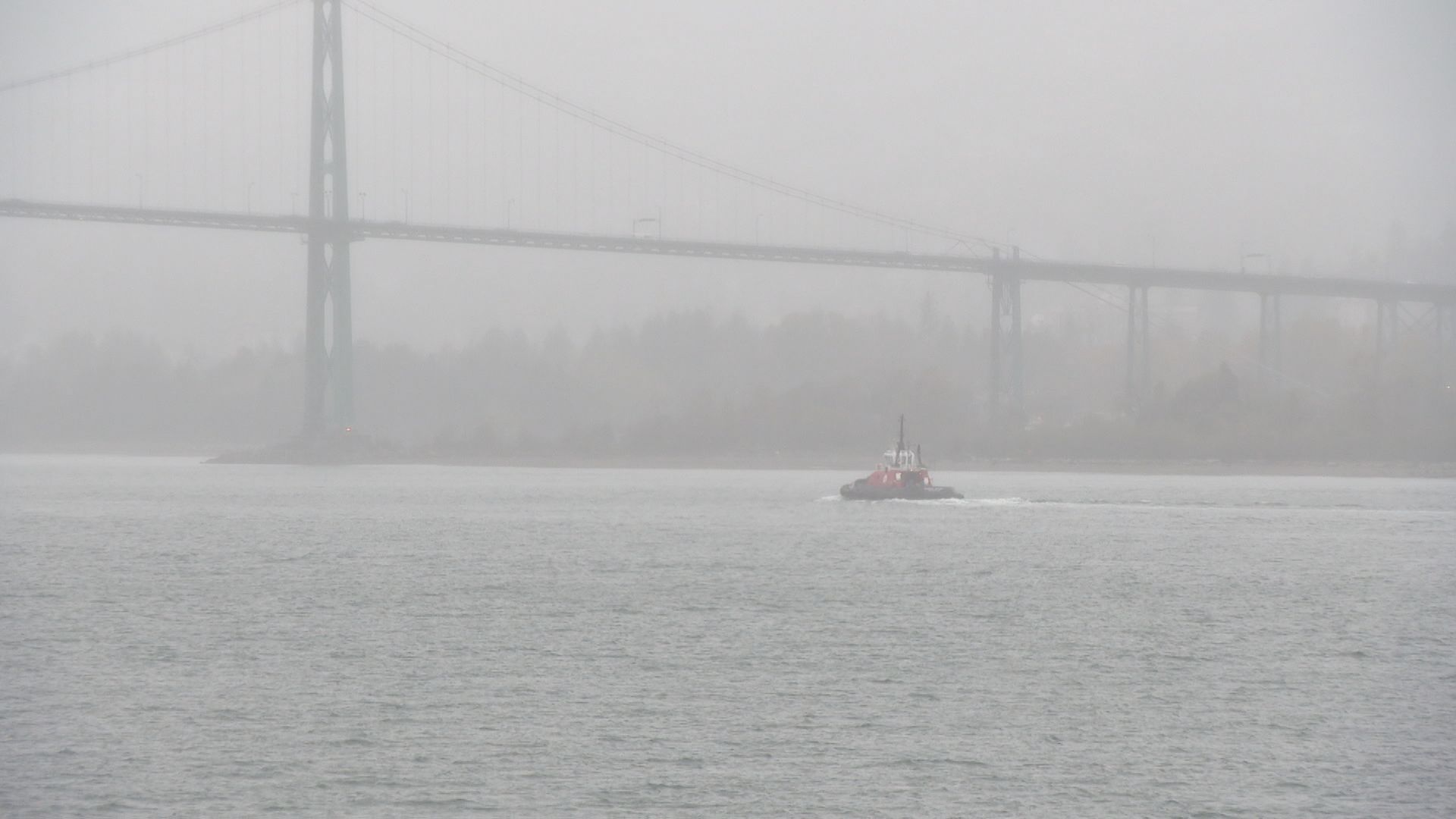 The Lower Mainland in the middle of an atmospheric river weather event Oct. 18, 2024.