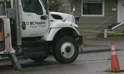 BC Hydro crews clean up a downed tree across a power line.