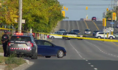 A woman has died after being struck by a vehicle in Scarborough.