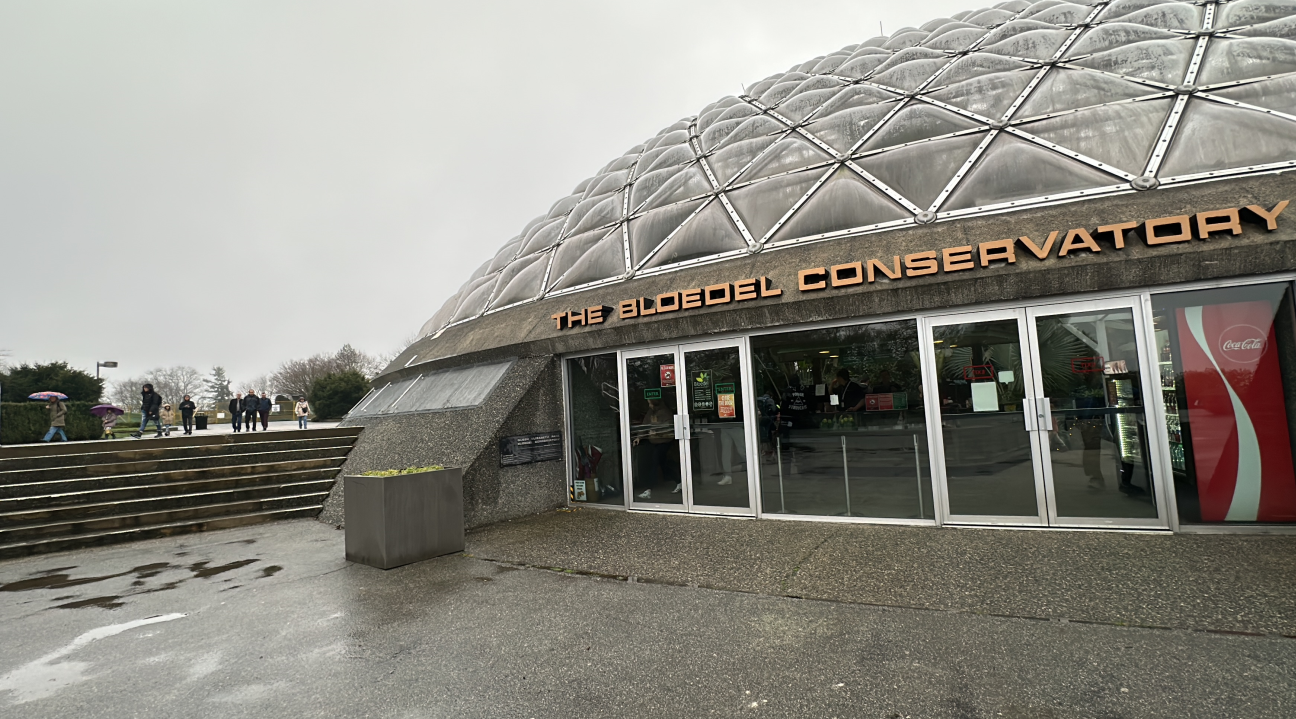 The Bloedel Conservatory at Queen Elizabeth Park on Jan. 4, 2025. The attraction has finally reopened after being closed for months while it underwent renovations.