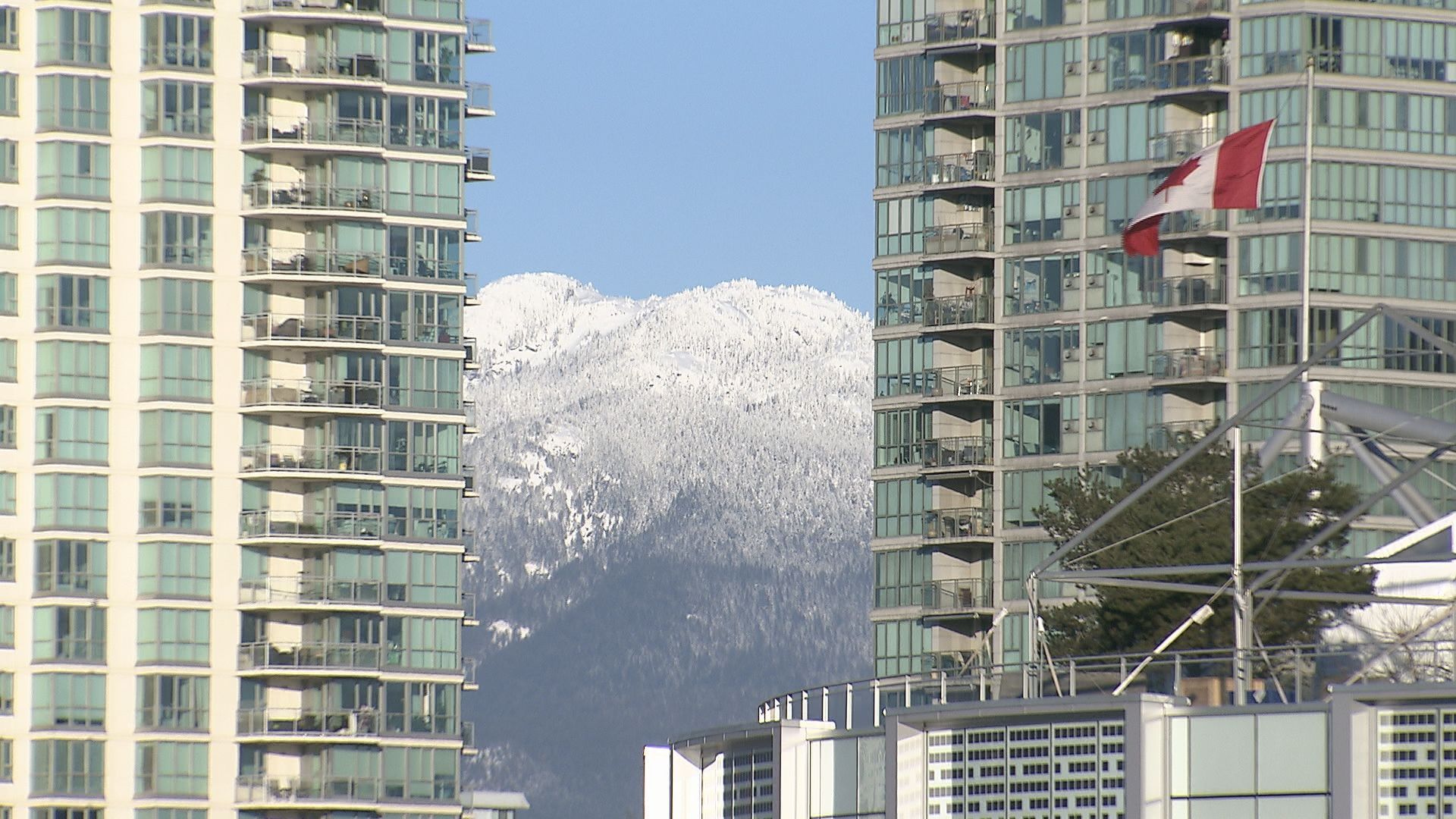 Bitter cold winter conditions as seen in Vancouver, B.C. on Friday January 14, 2024.