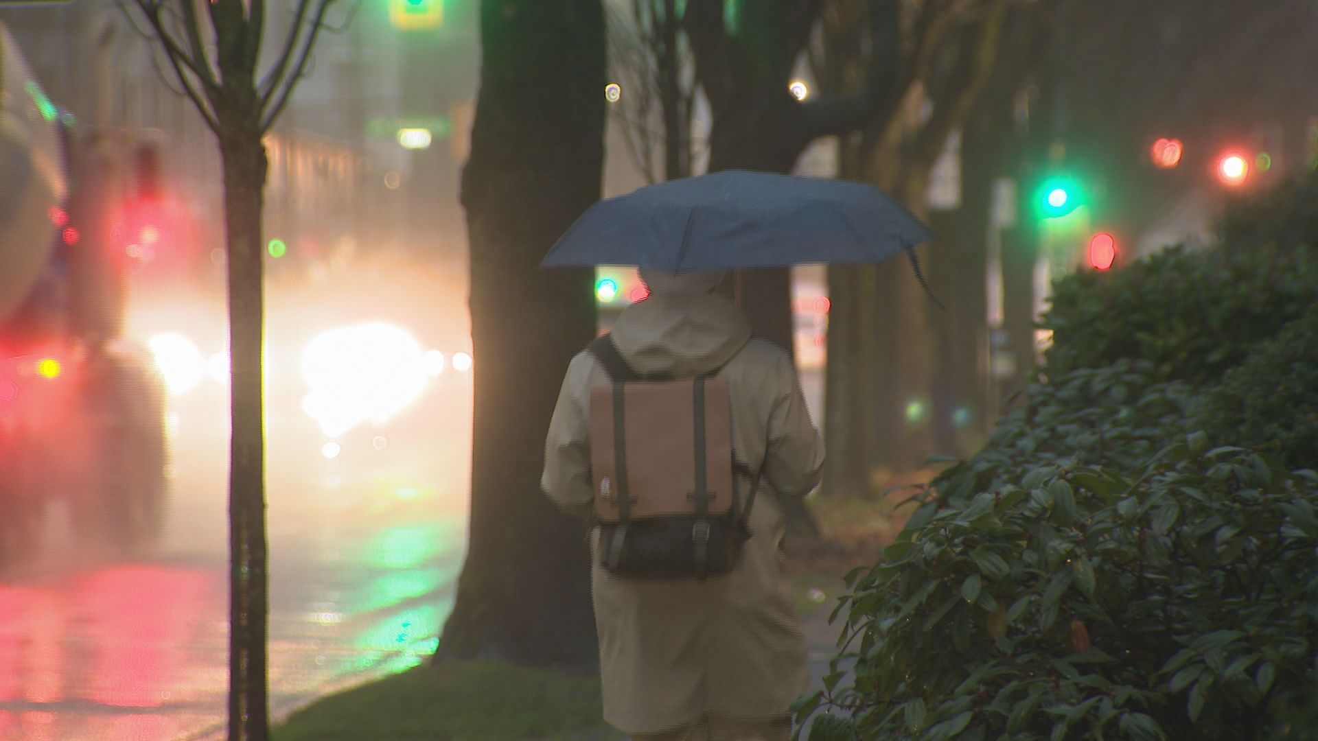 Don't put your umbrella away just yet. CityNews Meteorologist Michael Kuss explains the rest of the month will be wet. (CityNews Image)