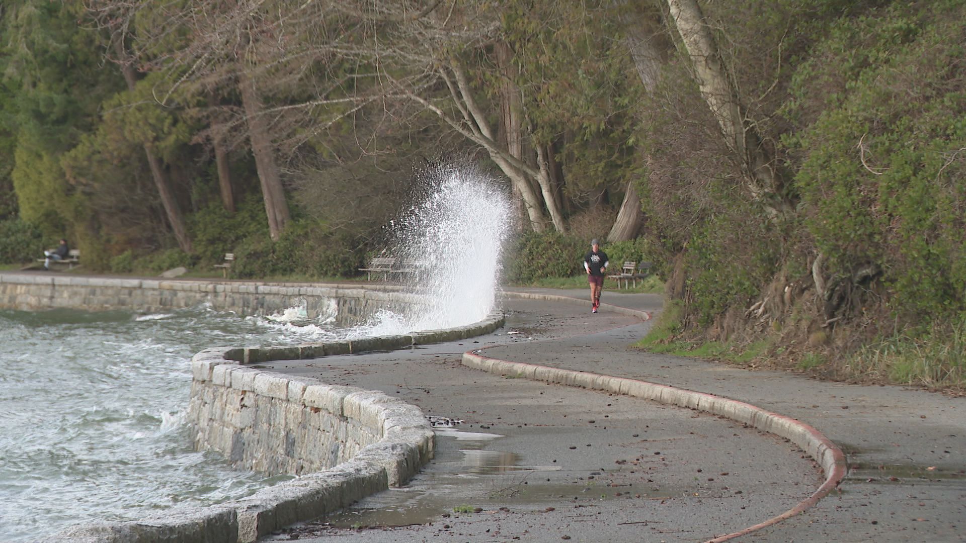 Waves crash against the seawall in Vancouver's Stanley Park on Tuesday January 9, 2024.