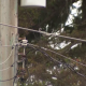 A BC Hydro pole in Metro Vancouver in 2022.