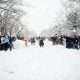 Students at the University of British Columbia gathered on Thursday for a snowball fight on a day when classes were cancelled due to snow