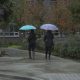 Two people walking with umbrellas in the Vancouver while it is raining.