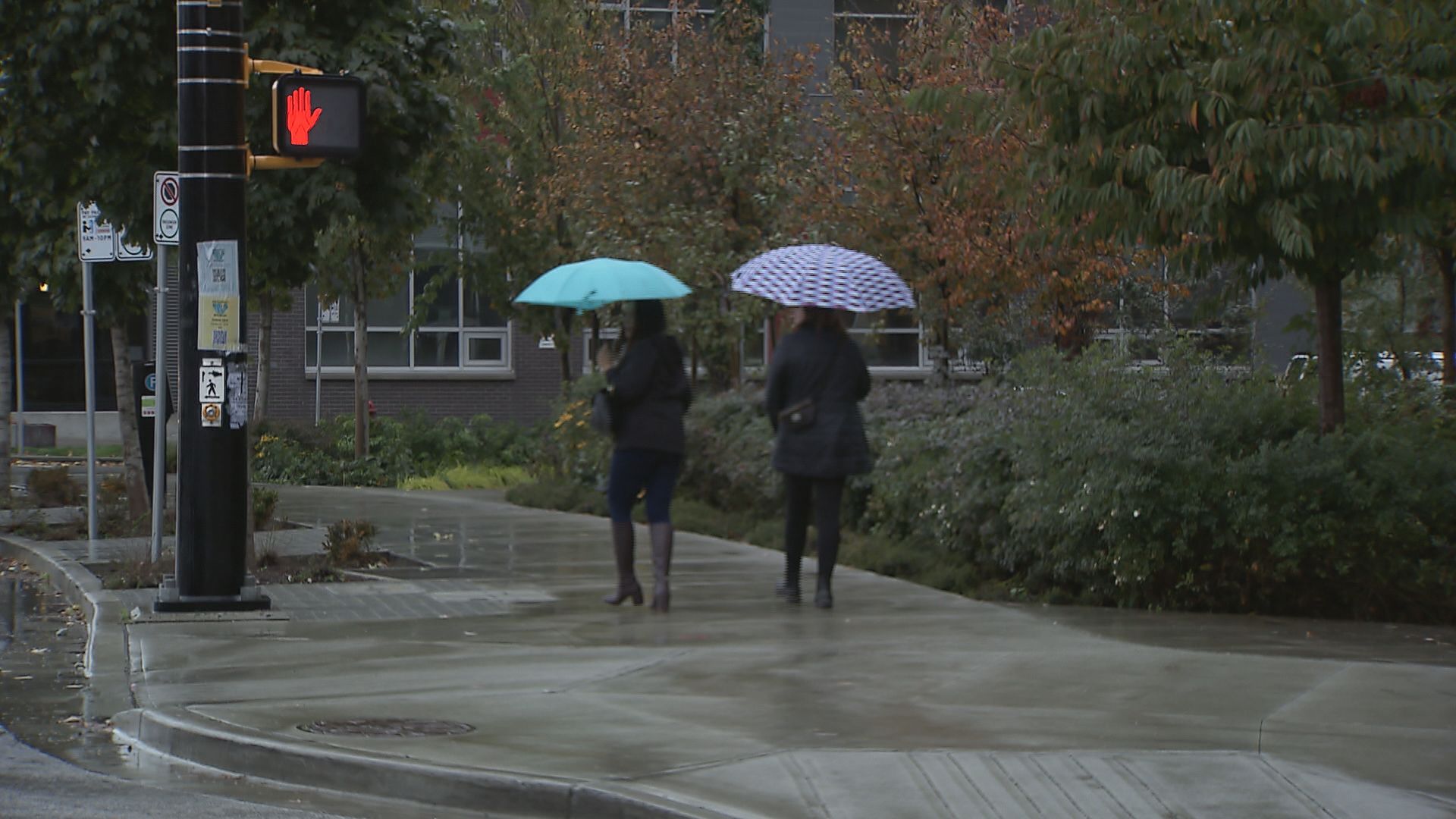 Two people walking with umbrellas in the Vancouver while it is raining.