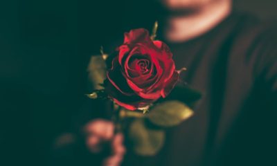 A man is holding a rose in this image.