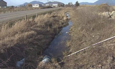 Chilliwack Central Road between Prest Road and Broadway