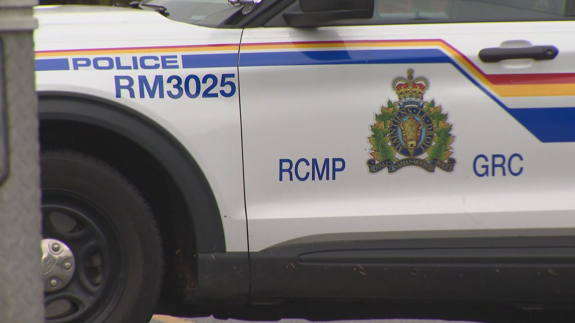 The Ridge Meadows RCMP logo on the side of a police cruiser door