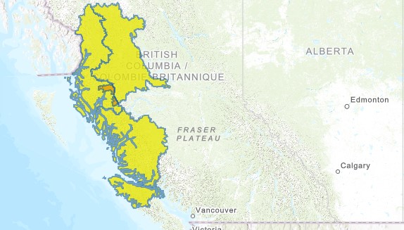 The BC River Forecast Centre says an atmospheric river system is headed toward the North and Central Coast this weekend and it has issued a high streamflow advisory for several areas.