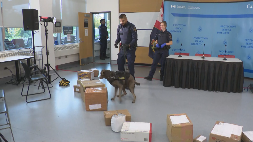 The shipments allegedly contained 397 kilograms of crystal methamphetamine and 1,278 litres of liquid methamphetamine. The CBSA said the seizures would produce a combined total of "approximately 8 million individual doses." (CityNews Image)