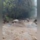 A mudslide across Quarry Road in Coquitlam on Oct. 19, 2024.