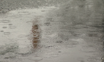 A rain puddle in Vancouver