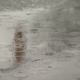 A rain puddle in Vancouver