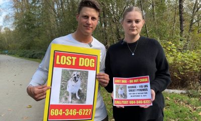 The Gildings pose for a photo, holding posters for their missing dog