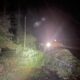 Fallen trees and damaged power lines are seen