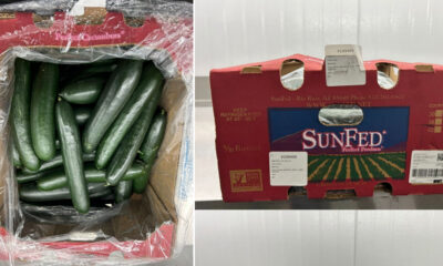 Photo of cucumbers recalled by SunFed