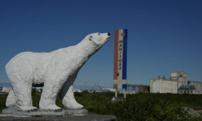 A polar bear statue stands near a road,