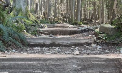 Looking up the Grouse Grind trail