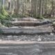 Looking up the Grouse Grind trail