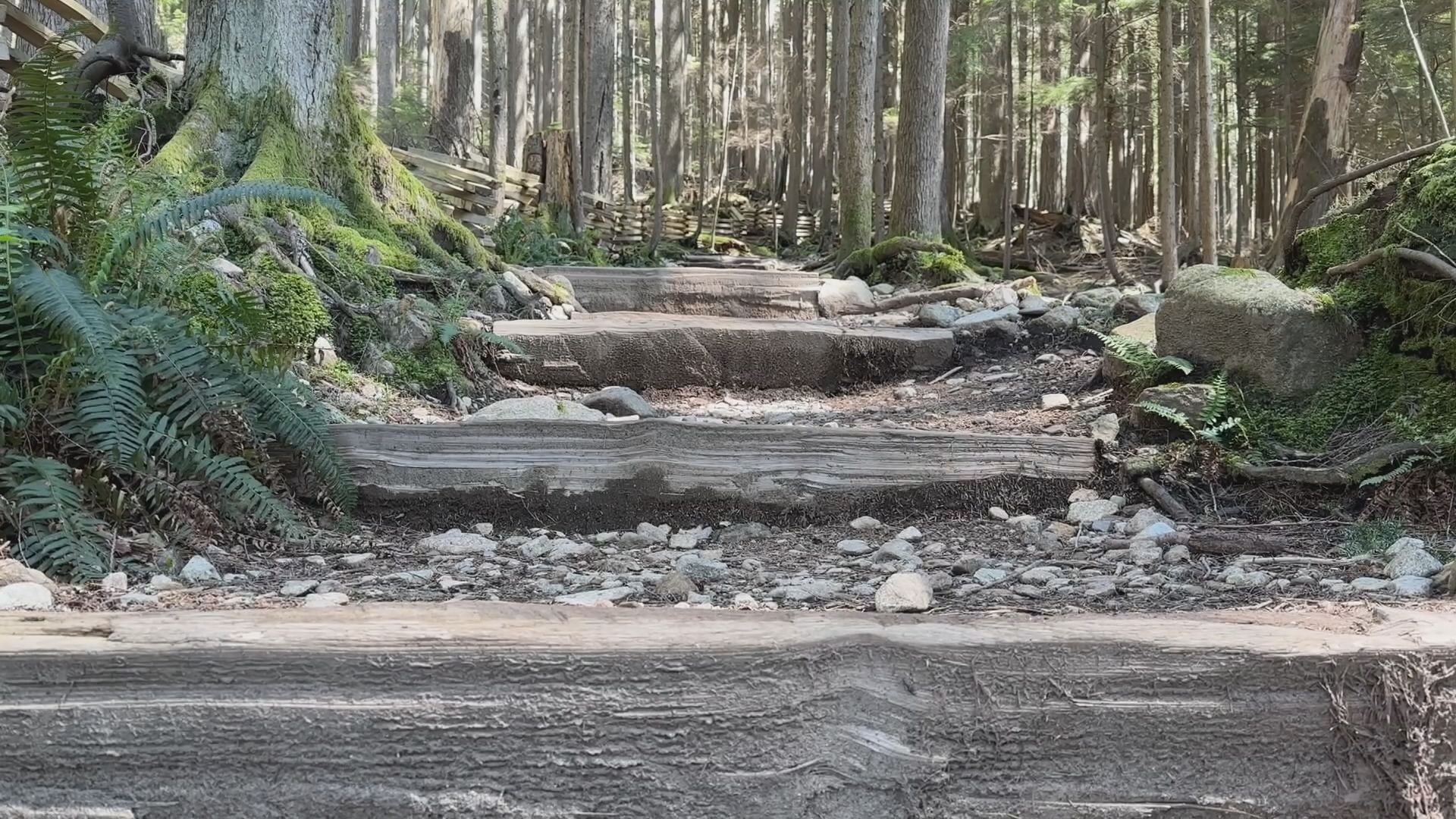 Looking up the Grouse Grind trail