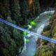 The Capilano Suspension Bridge seen illuminated from above