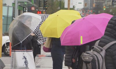 Vancouverites carry colourful umbrellas on a rainy day in April 2024.