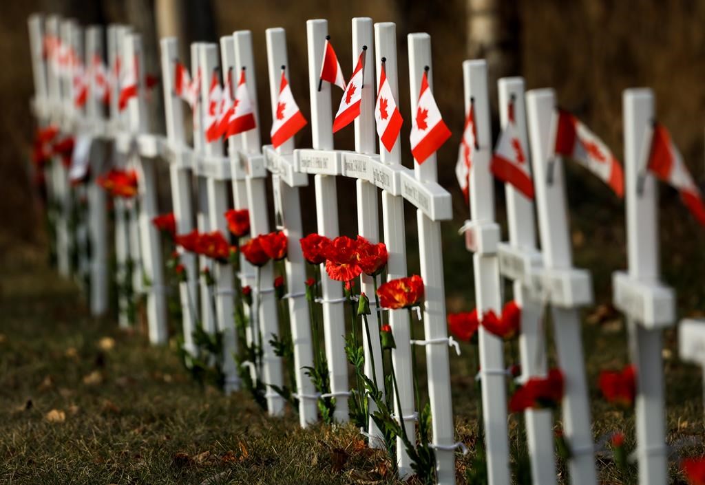 Sunlight highlights crosses adorned with poppy flowers and Canadian flags at the Field of Crosses in Calgary