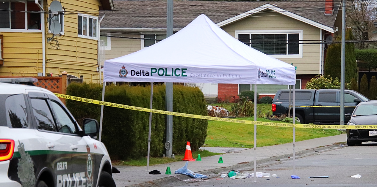 Police say a man has been arrested after a serious assault in a North Delta home.