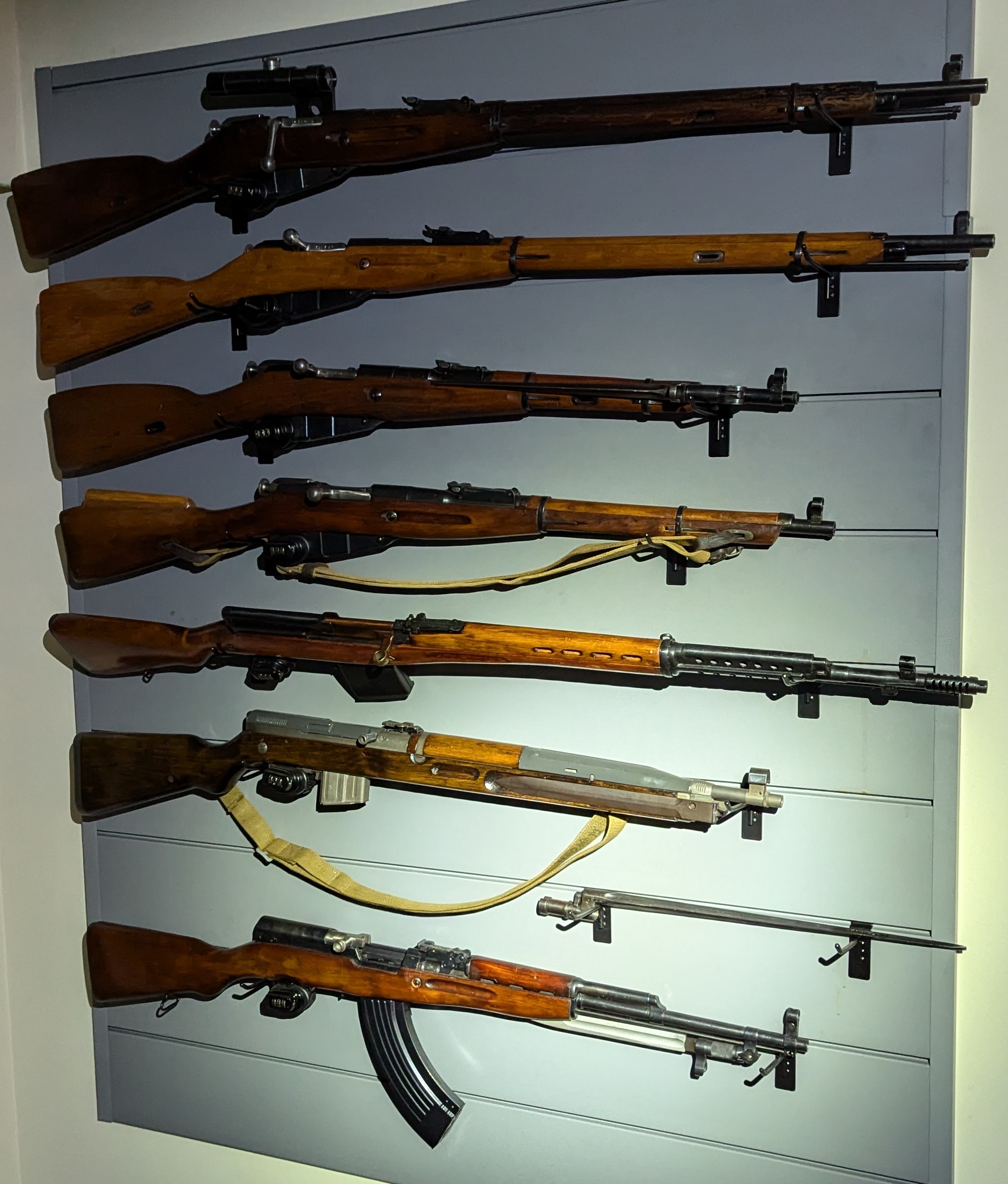 Seven firearms hung on a wall