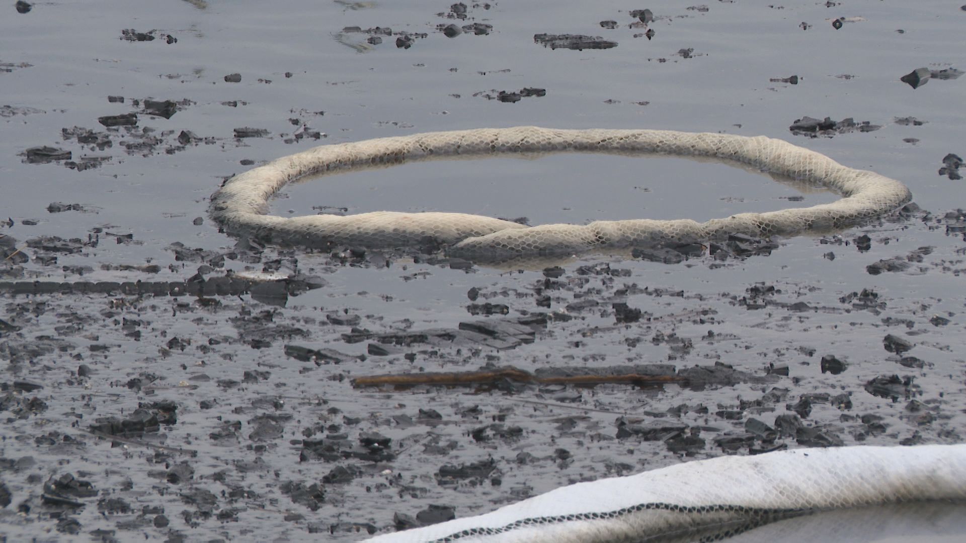 Coast Guard finds fuel in water after Port Moody marina fire